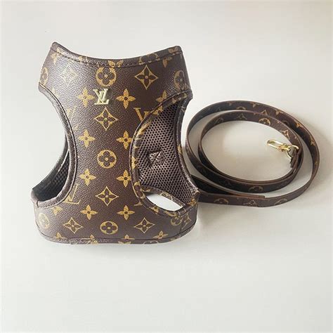 louis vuitton leash and harness|louis vuitton dog collar sizes.